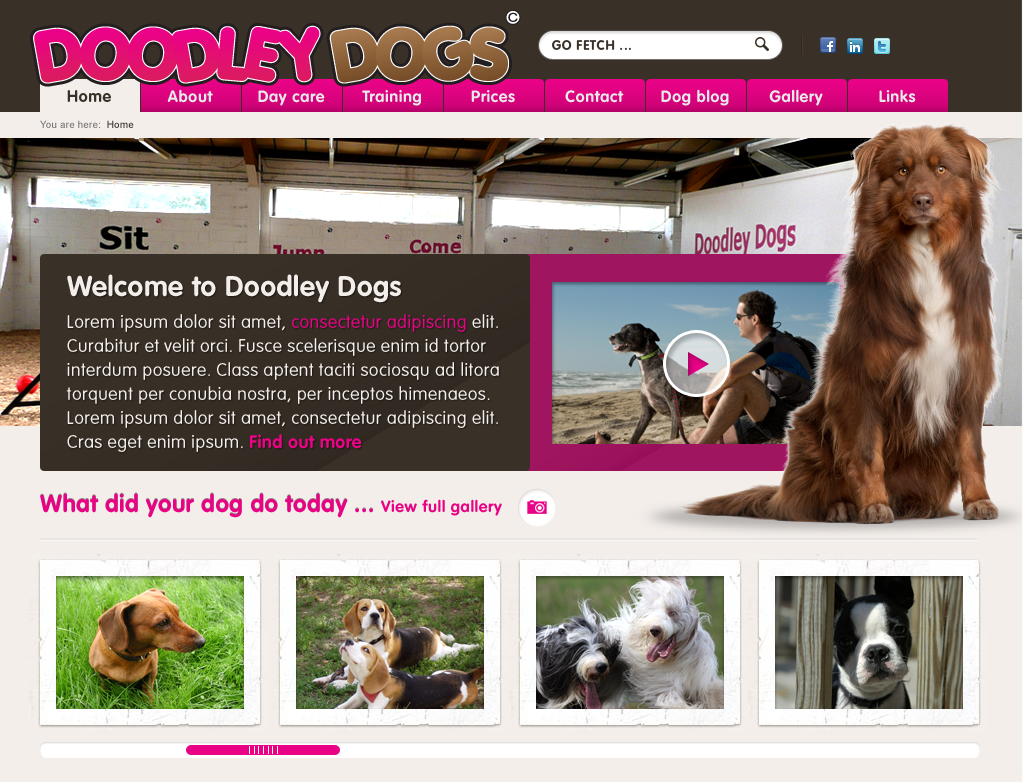Doodley Dogs - Launch Logo and Homepage